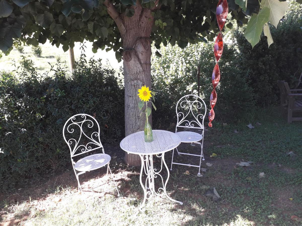 B&B La Riundela Asti Kültér fotó
